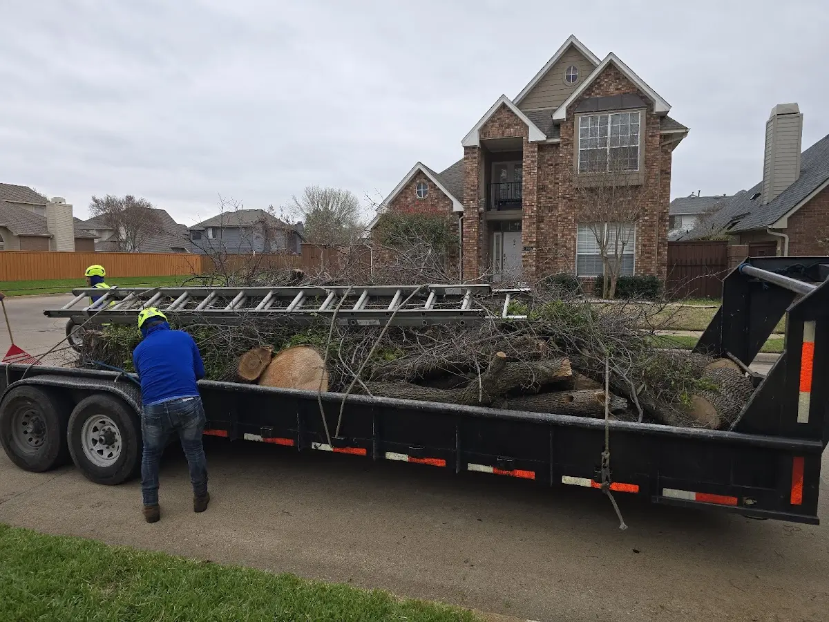 Expert Crown Reduction with proper safety equipment in Springhill